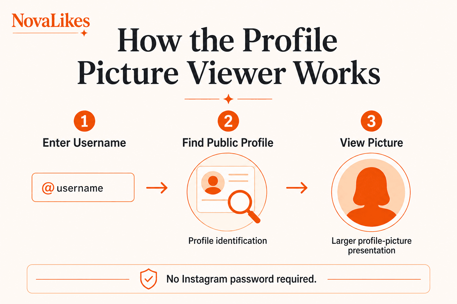 How the Instagram Profile Picture Viewer works: enter a username, find the public profile, then view the larger picture