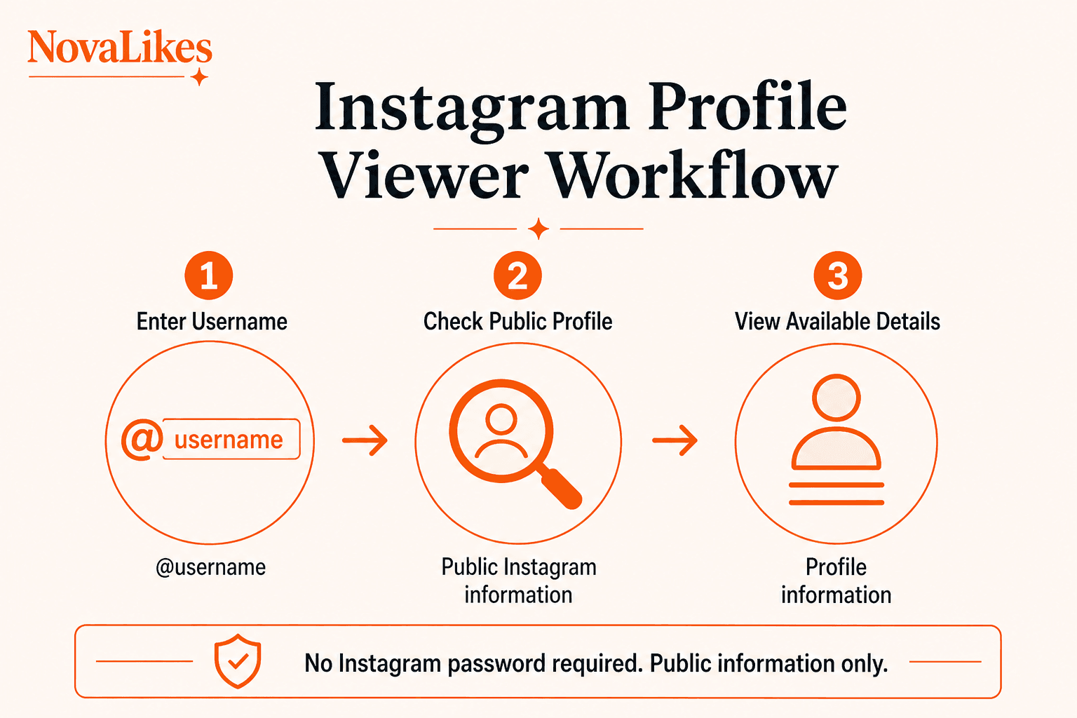 Instagram Profile Viewer workflow: enter a username, check public profile information, then review the available details